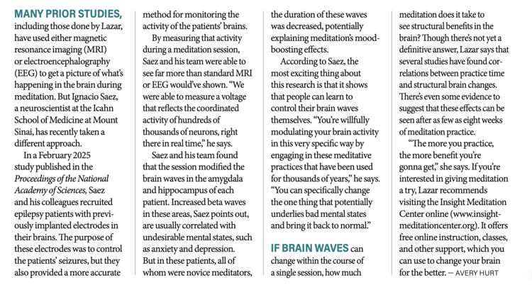 The Brain on Meditation Discover article