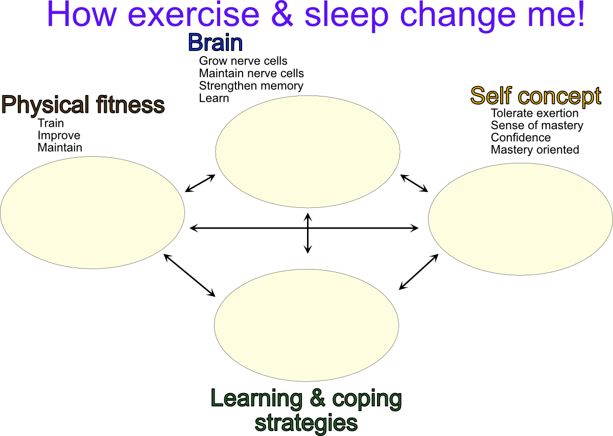 Connecting sleep and exercise