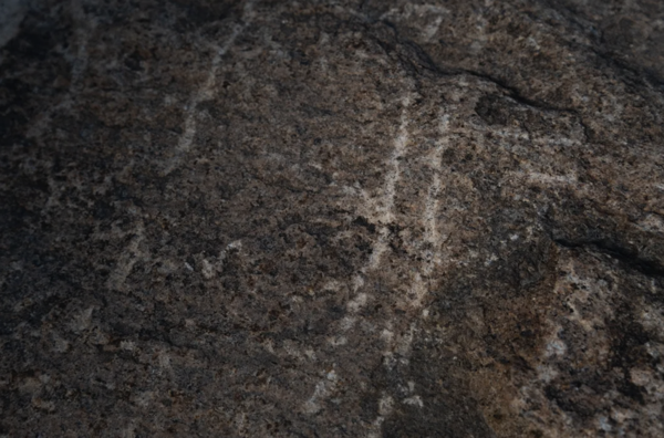 Ribstone Petroglyph
