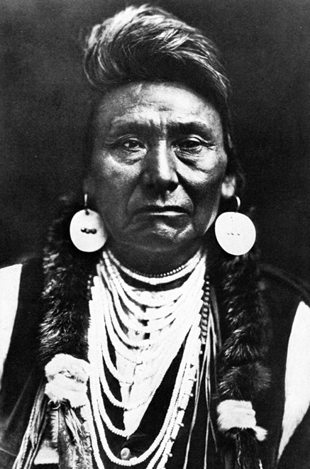 Chief Joseph image