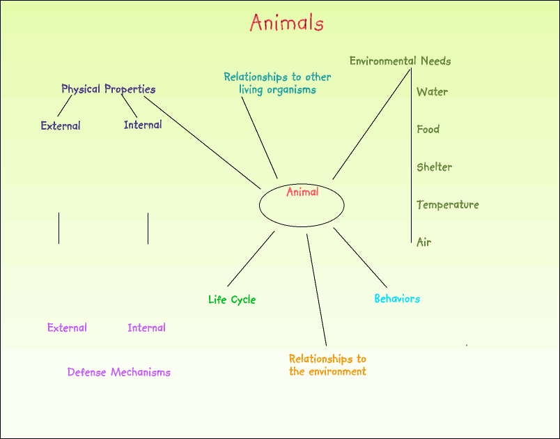 animal web image