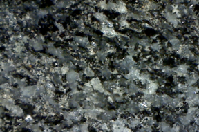 Gabbro rock x 50