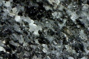 Gabbro rock x 50