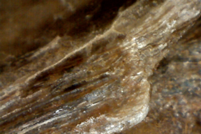 Mica 50x
