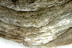 Mica 50x