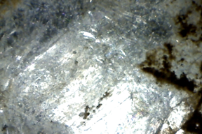 Mica 50x