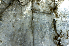 Mica 50x
