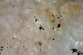 Pink Feldspar
