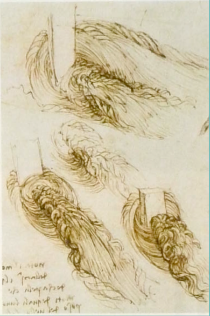 da Vinci's eddies around a post in a stream