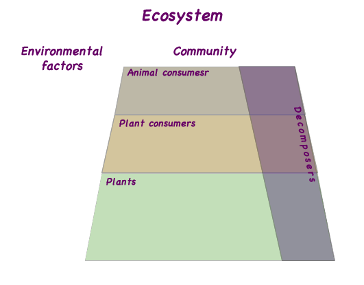 ecosystem model