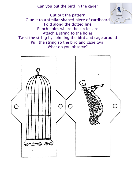 Bird and Cage pattern
