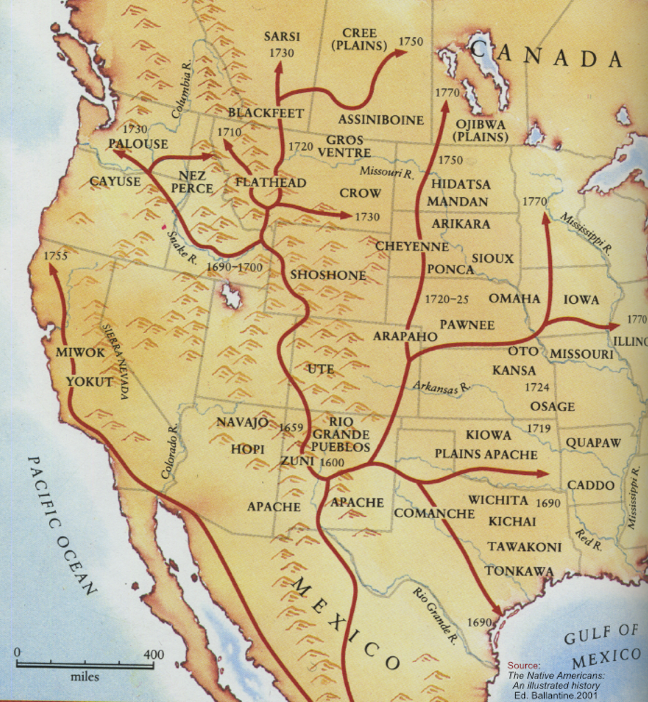 Reintroduction of horses to the Americas