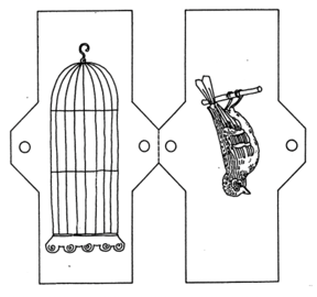 Bird and Cage