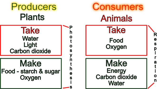 Producer consumer diagram