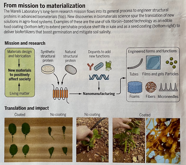 Engineering protein coatings